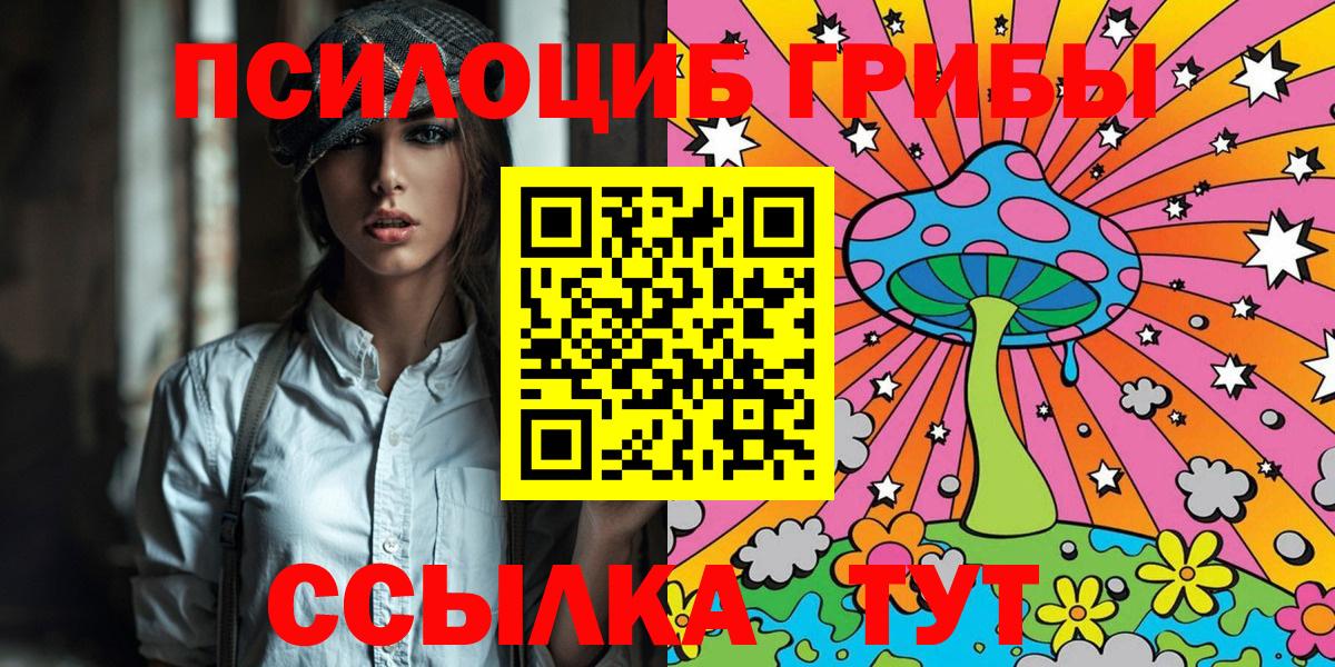 Псилоцибиновые грибы мицелий Ессентуки