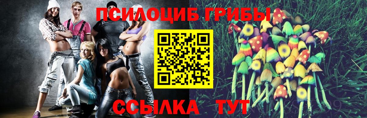 Псилоцибиновые грибы MAGIC MUSHROOMS  Вход с VPN  Ессентуки 