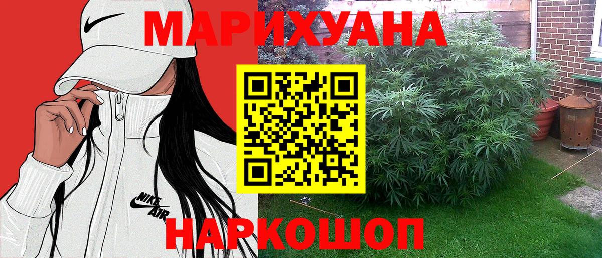 Шишки марихуана планчик Ессентуки